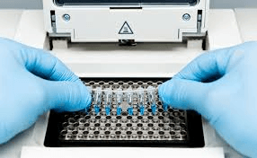 Biotechnology Lab with PCR, DNA/RNA analytical techniques