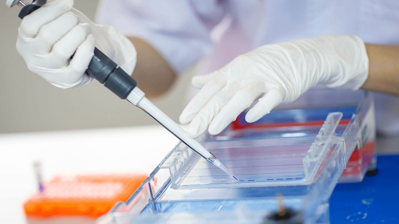 Molecular Biology & Lab Techniques