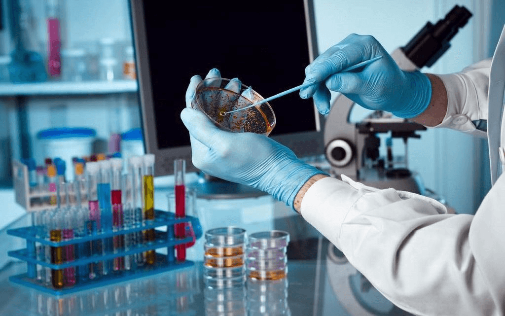 Microbiology Lab for microbial analysis and experimentation